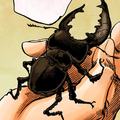 Jobin's Miyama Stag Beetle