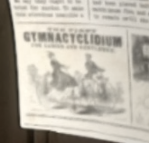 File:Ep 9 - The First Gymnacyclidium.png