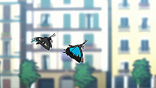 Transformation de billets en papillons