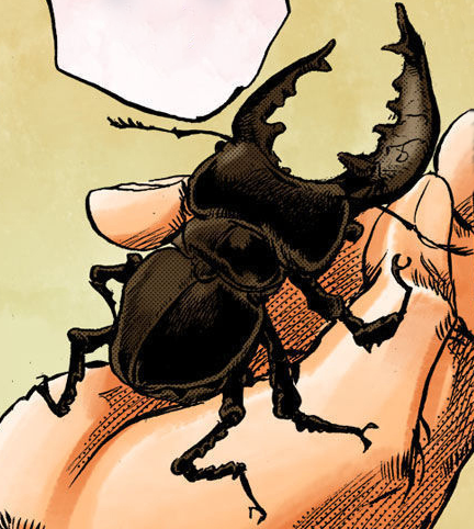Jobin's Miyama Stag Beetle