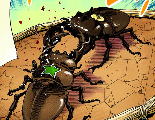 File:Beetle fight.png