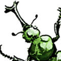 Satiporoja Beetle