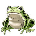 Strengthening Frogs