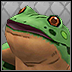 File:FrogDR.png