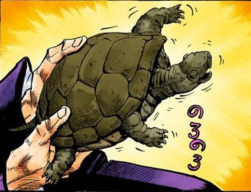 File:P4 Turtle.png
