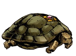 Pet