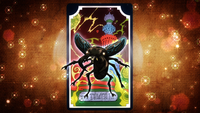 Stag beetle with Card.png