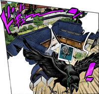 Yoshihiro escaping on a crow.png