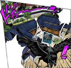 Yoshihiro usando seu Stand para escapar do Grupo Joestar em um corvo
