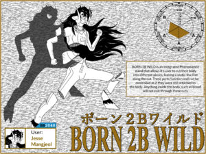 BORN 2B WILD Infopage