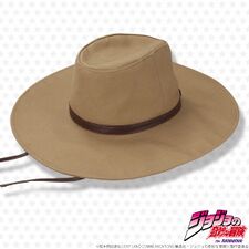 HolHorseCowboyHat2.jpg