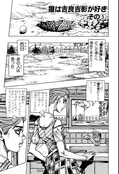 File:Chapter 396 Cover A Bunkoban.jpg