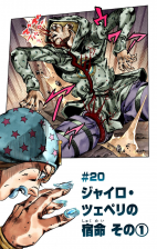 SBR Chapter 20 Cover