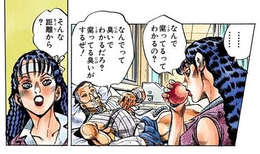 Akemi's rotten peach manga.jpg