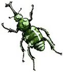 File:Satiporoja Beetle.jpg