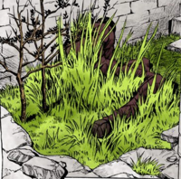 Young GE grass growing.png