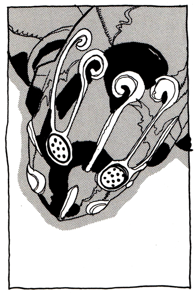 File:Chapter 406 Tailpiece.png