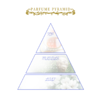 NOZBucciaratiPyramid.png