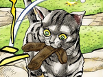 D'arby's Cat.png
