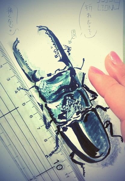 File:JiameiP8Beetle.png