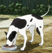 Danny's initial appearance in the anime