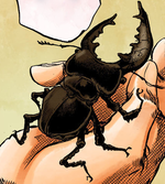 Jobin's Miyama Stag Beetle.png