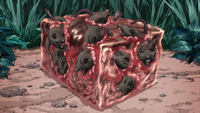 Flesh Cube.png