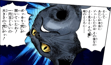 The hole in Tama's neck from the Arrow