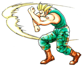 Guile's Sonic Boom was inspired by Wamuu's Divine Sandstorm.