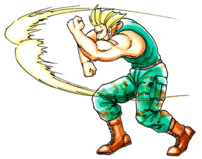 Guile's Sonic Boom were inspired by Wamuu's Divine Sandstorm.