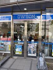 OWSON Convenience Store