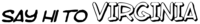 Say Hi to Virginia Logo.png