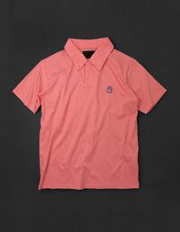 UltraLLC-Polo5.jpg