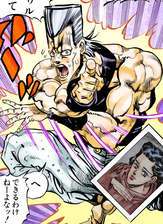 Sherry in a photo carried by Polnareff