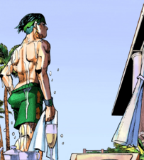 Rohan emerges from his villa's pool