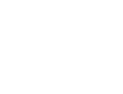 CyberConnect2.png