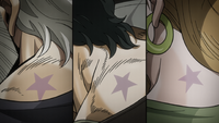 Star Birthmarks anime.png