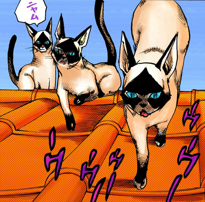 Wild Cat Size Infobox Manga.png