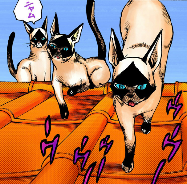 File:Wild Cat Size Infobox Manga.png
