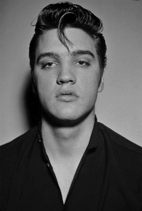 ElvisDolomiteLookalike.png