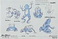 Poison Dart Frog MS.jpg