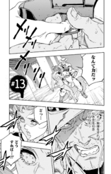 CDDH Chapter 13 Cover