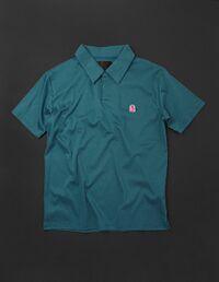 UltraLLC-Polo4.jpg