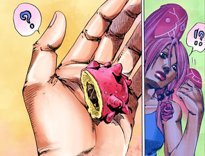 Yasuho fruit in hand.png