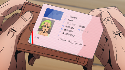 Zucchero's license