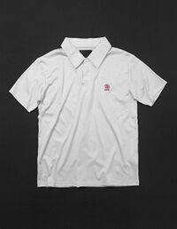 UltraLLC-Polo1.jpg