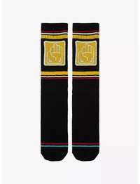 HotTopicJotaroCrewSocks.png