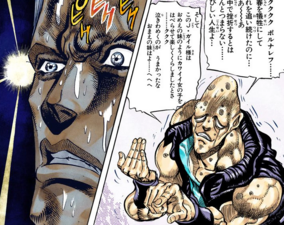 J. Geil Taunting Polnareff