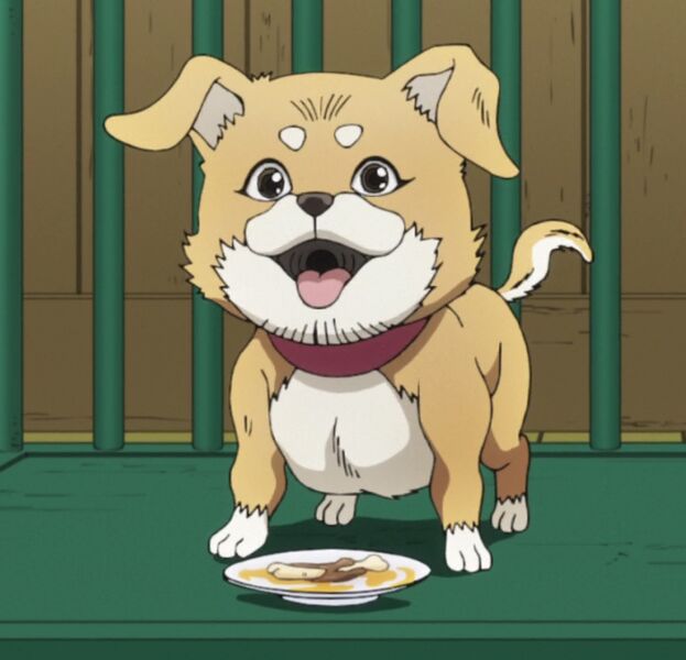 File:Tonio's Puppy-Anime.jpg