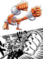 Street Fighter Alpha (manga), Street Fighter Wiki